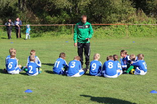 开云体育中国官网-中国足球战术模块组合搭配分析，国足战术风格