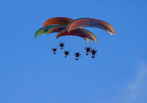 kaiyun电竞-英超球队结合疲劳评分系统动态分配替补上场时机，英超伤病报告_球员受伤成本逐年攀升